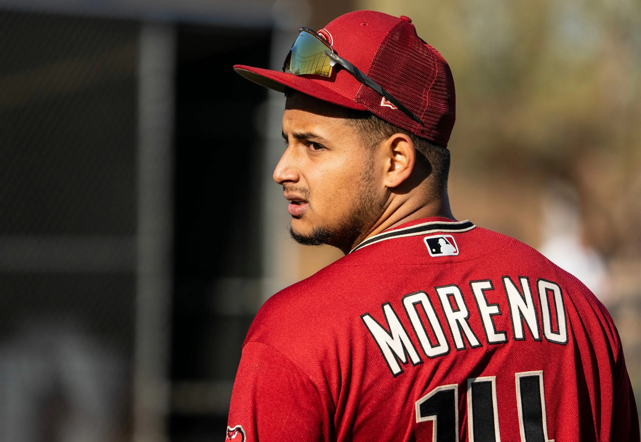 UN CARDENAL QUE VUELA EN ARIZONA