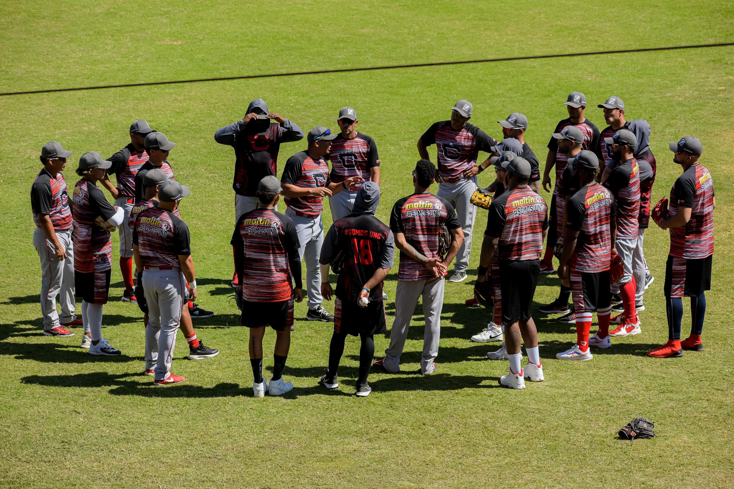 Cardenales retomó vuelo con paliza ante Leones - Líder en deportes