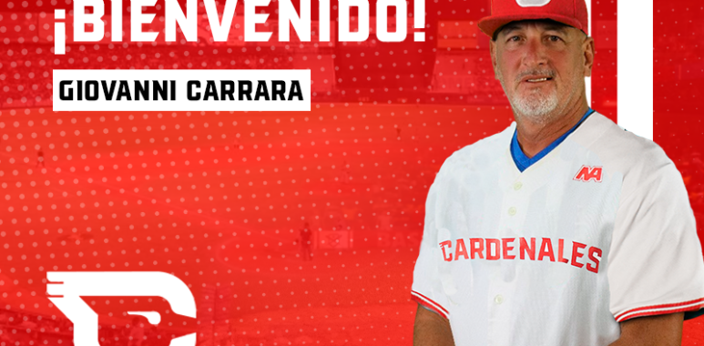 web cardenalesd carrrara - Cardenales de Lara B.B.C