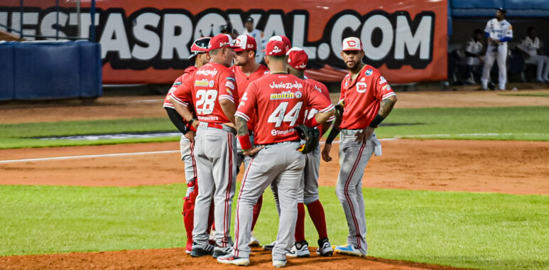 DSC 2753 3 - Cardenales de Lara B.B.C