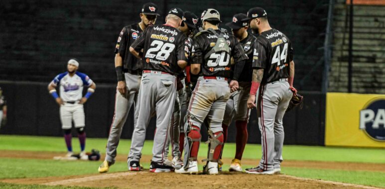 DSC 1024 - Cardenales de Lara B.B.C