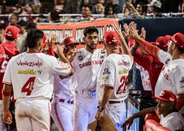 DSC 3073 1 - Cardenales de Lara B.B.C