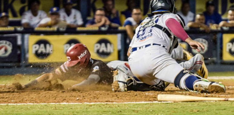 DSC 3688 1 - Cardenales de Lara B.B.C