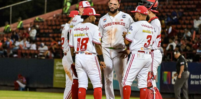 DSC 1442 - Cardenales de Lara B.B.C